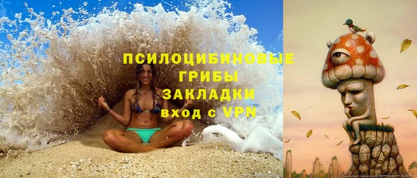гашик Алзамай