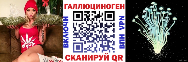где продают наркотики  Козловка  Псилоцибиновые грибы мухоморы 